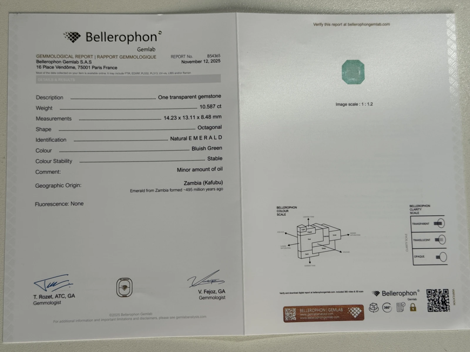 Bellerophon Certified 10.58 Ct Natural Bluish Green  Emerald Octagonal Shape Loose Gemstone from Zambia