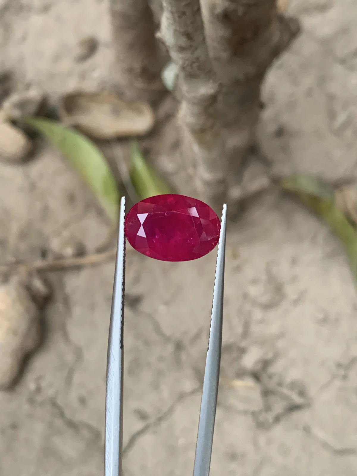 Bellerophon Certified 6.809 Ct Natural Ruby Oval Shape  Loose Gemstone