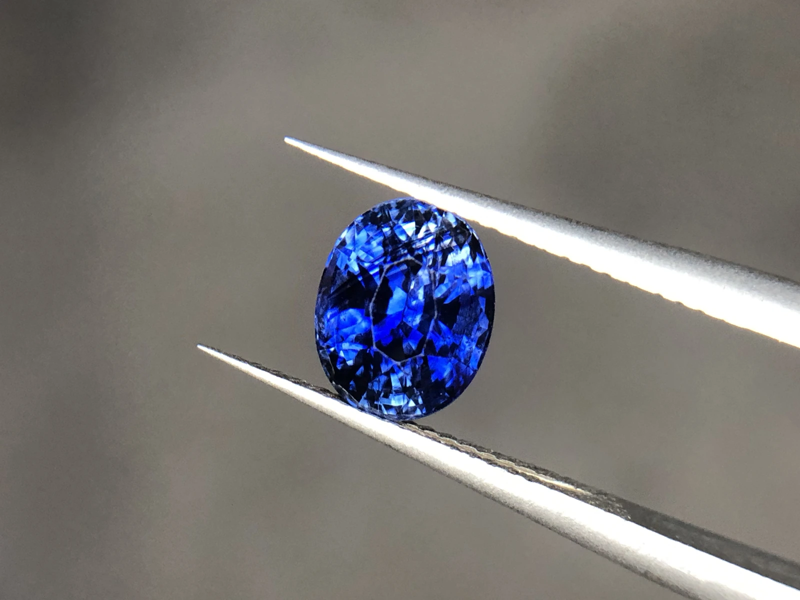 Stunning 1.30ct Royal Blue Sapphire in Modified Oval Cut