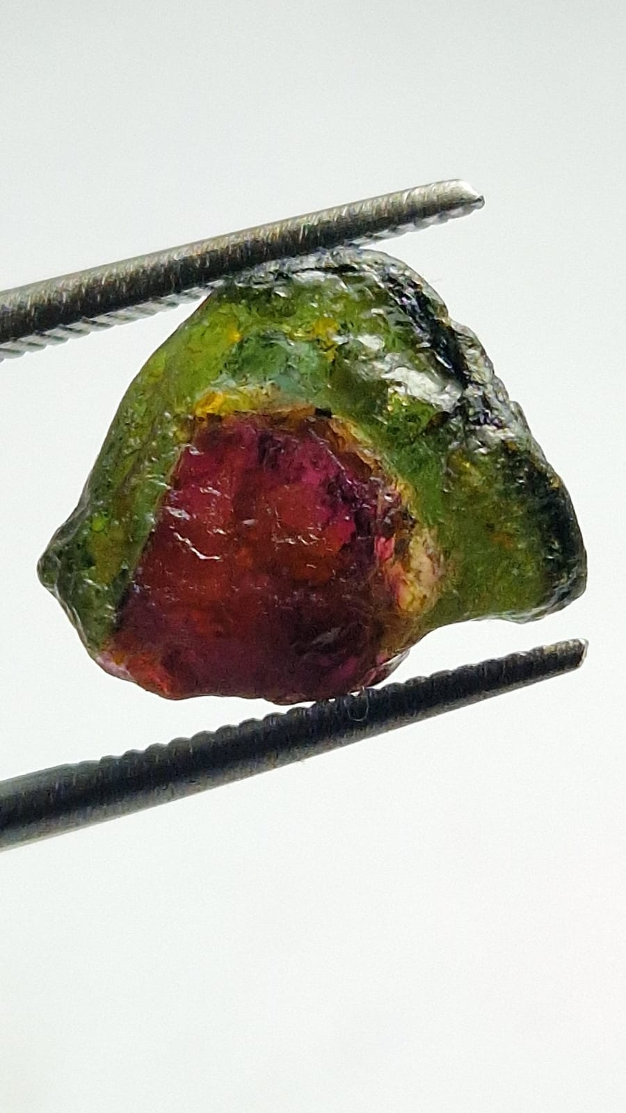 5.75 Carat Watermelon Tourmaline from Nigeria