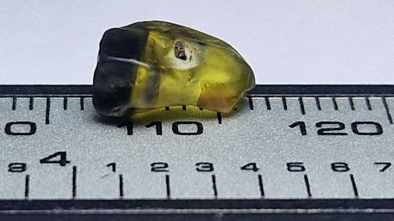 3.10 Carat Bi Color Sapphire Facet Rough from Nigeria