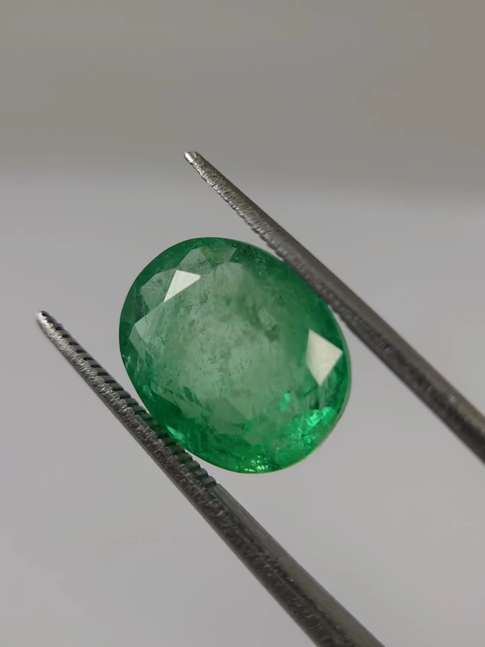 7.9ct Oval Faceted Monir Oiled Panjshir Emerald from Afghanistan