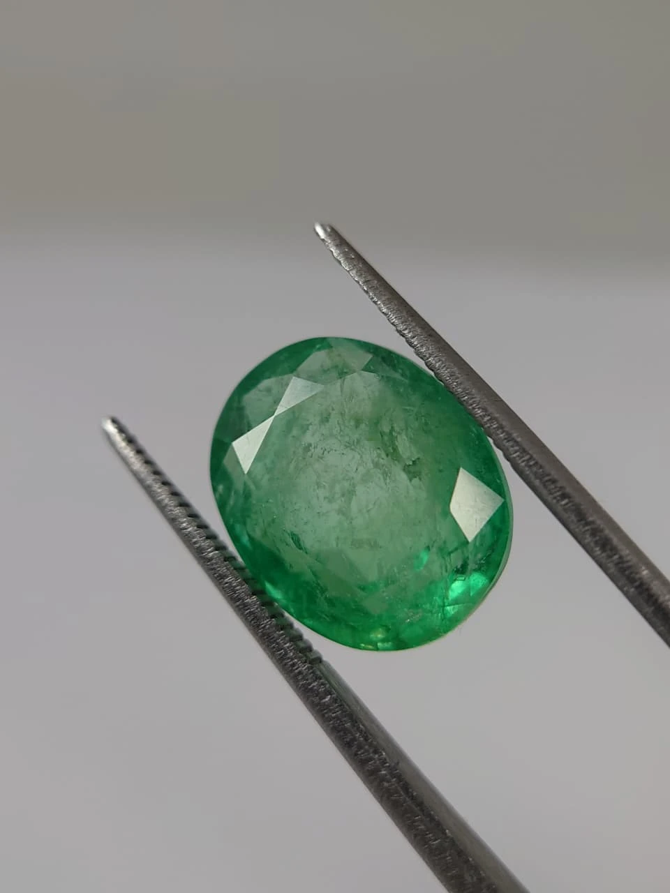 7.9ct Oval Faceted Monir Oiled Panjshir Emerald from Afghanistan