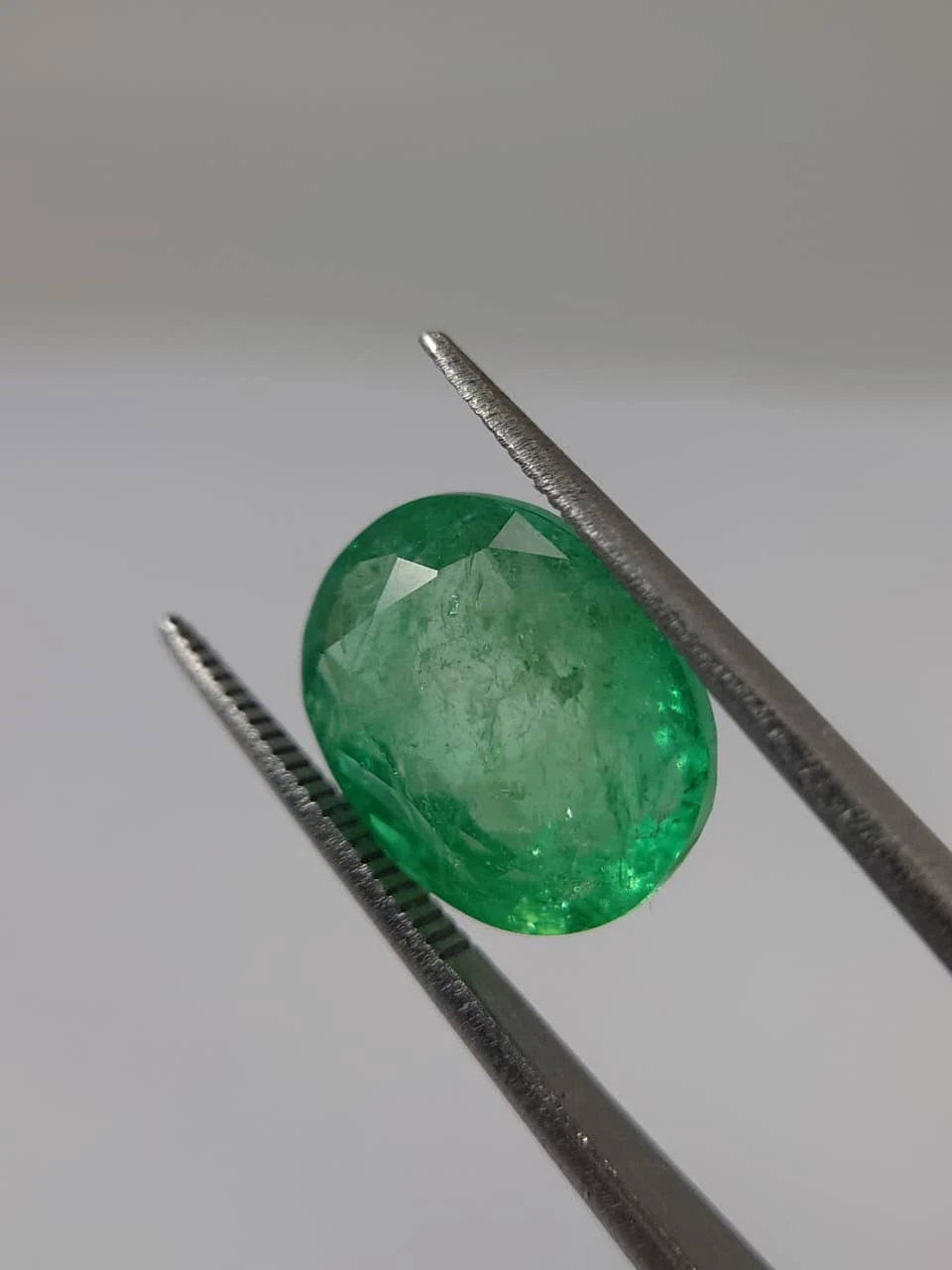 7.9ct Oval Faceted Monir Oiled Panjshir Emerald from Afghanistan