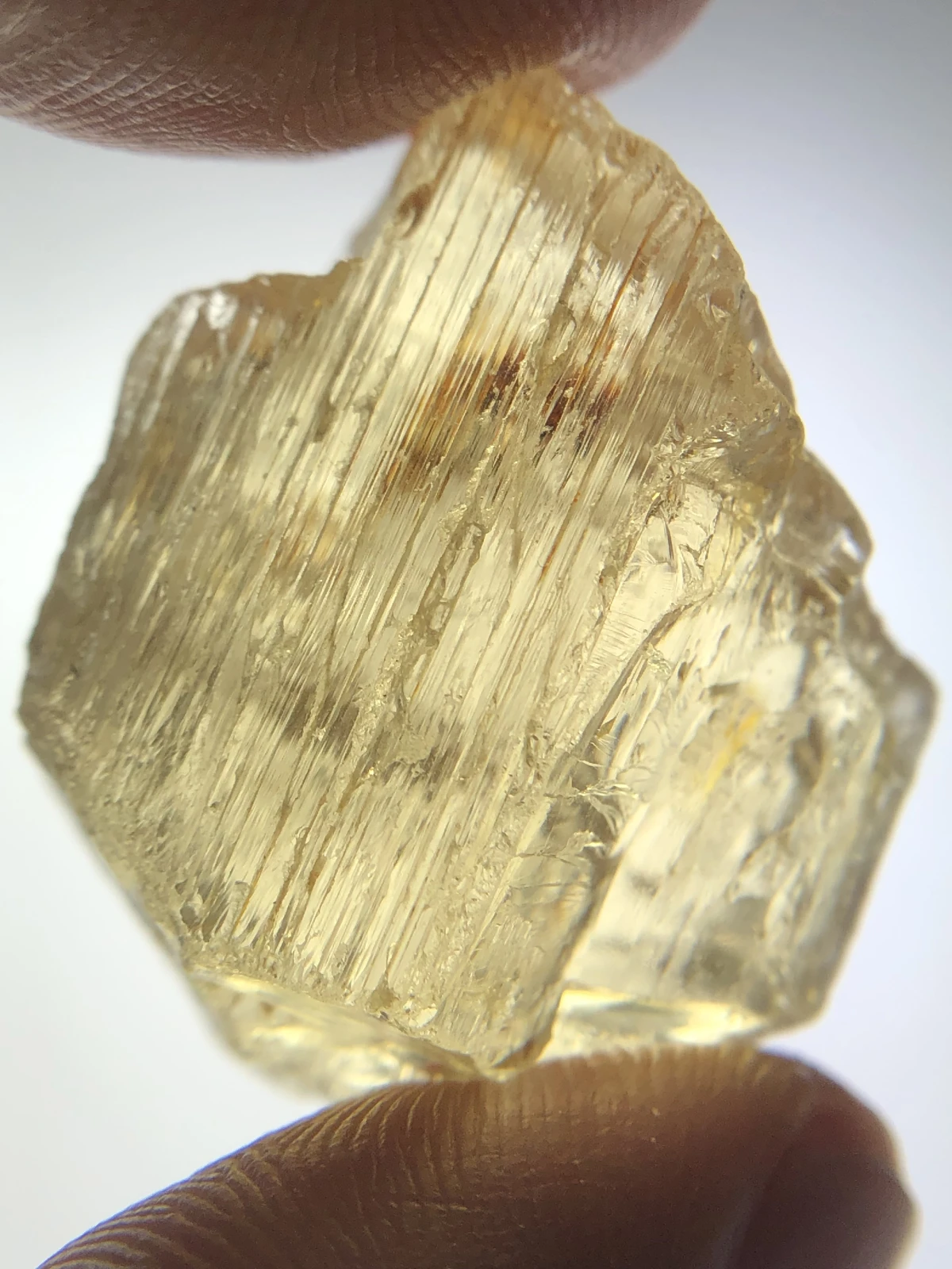 Yellow Scapolite 96 carat Facet Quality Rough