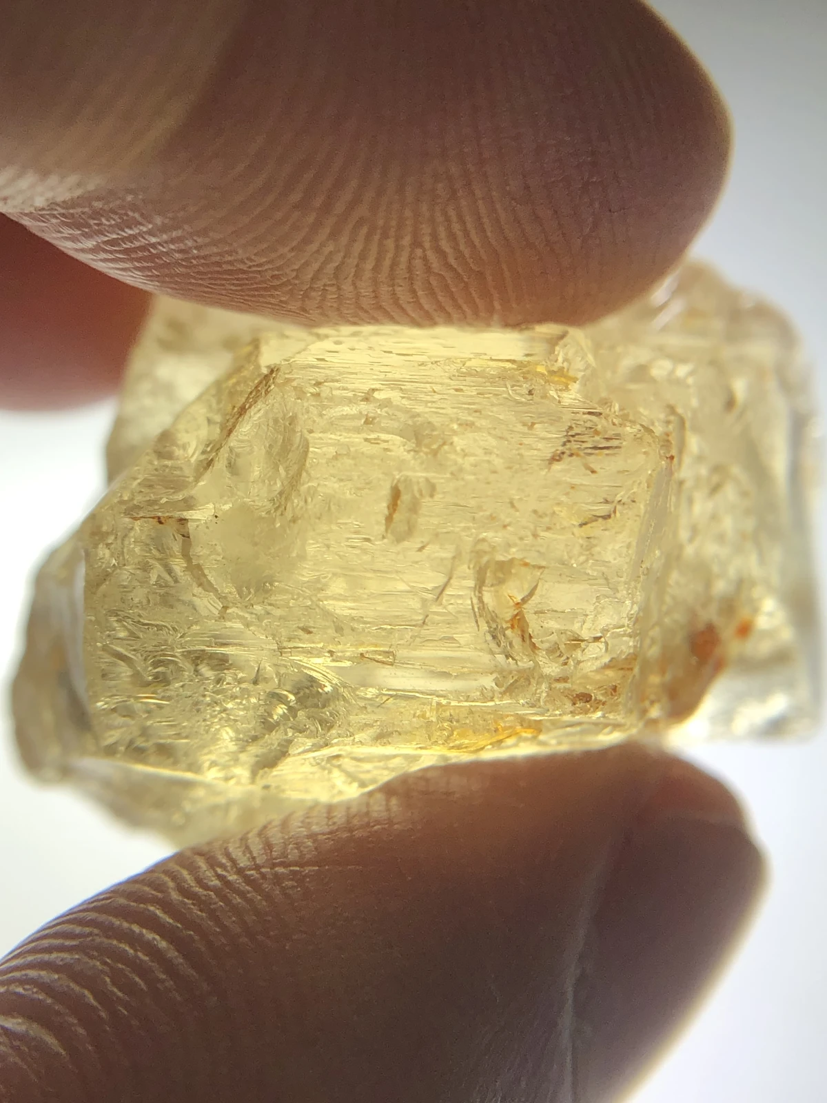 Yellow Scapolite 96 carat Facet Quality Rough